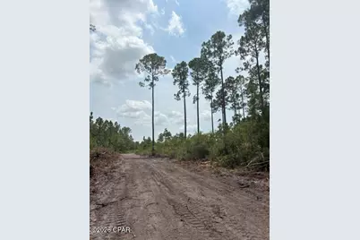 22563 NW Lake McKenzie Boulevard, Altha, FL 32421 - Photo 9