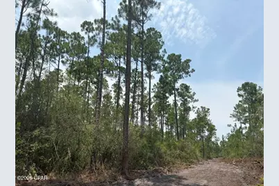 22563 NW Lake McKenzie Boulevard, Altha, FL 32421 - Photo 1