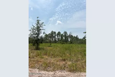 22563 NW Lake McKenzie Boulevard, Altha, FL 32421 - Photo 3