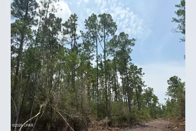 22563 NW Lake McKenzie Boulevard, Altha, FL 32421 - Photo 7
