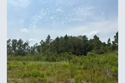 22563 NW Lake McKenzie Boulevard, Altha, FL 32421 - Photo 11