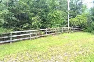 568 Onida St, Alford, FL 32420 - Photo 5