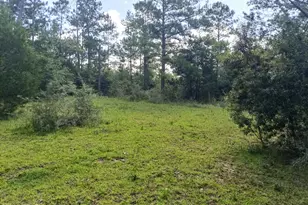 568 Onida St, Alford, FL 32420 - Photo 9