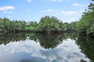 2499 SE Cypress Point Rd, Blountstown, FL 32424 - Photo 27