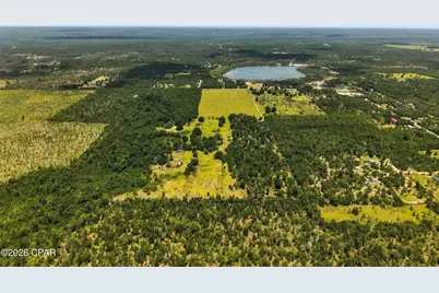 20905 NW Henson Road, Altha, FL 32421 - Photo 5