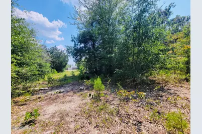 7157 NW Porter Grade Road, Altha, FL 32421 - Photo 9