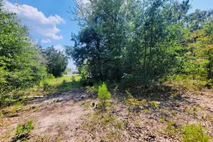 7157 NW Porter Grade Rd, Altha, FL 32421 - Photo 9