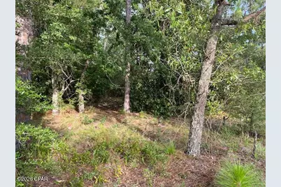 Lot 5 Putnam Avenue, Alford, FL 32420 - Photo 5