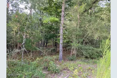 Lot 5 Putnam Avenue, Alford, FL 32420 - Photo 1