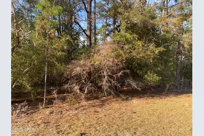 0 Largo Street, Alford, FL 32420 - Photo 3