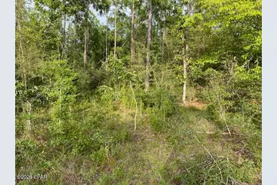 0 Largo Street, Alford, FL 32420 - Photo 5