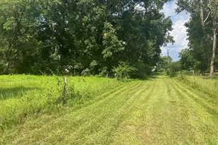 4854 Hwy 231, Campbellton, FL 32426 - Photo 63