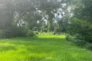 4854 Hwy 231, Campbellton, FL 32426 - Photo 55