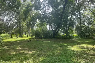 4854 Hwy 231, Campbellton, FL 32426 - Photo 31