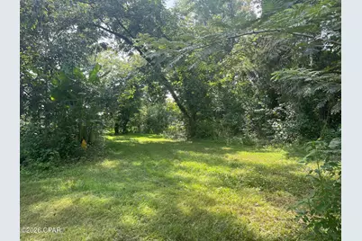 4854 Highway 231, Campbellton, FL 32426 - Photo 57