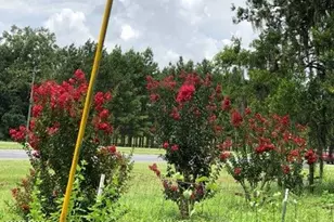 4854 Hwy 231, Campbellton, FL 32426 - Photo 49