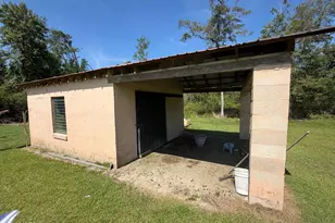 379 Lakepoint Rd, Alford, FL 32420 - Photo 43