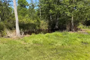 379 Lakepoint Rd, Alford, FL 32420 - Photo 47