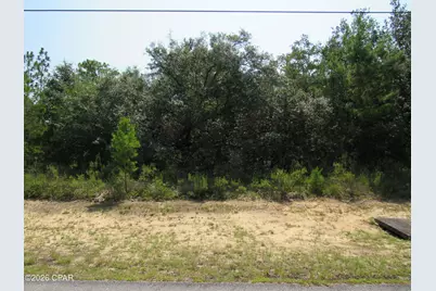 Tbd Cambridge Drive, Chipley, FL 32428 - Photo 1