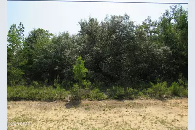 Tbd Cambridge Drive, Chipley, FL 32428 - Photo 3