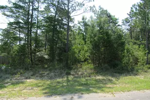 Tbd Pinehurst Ave, Chipley, FL 32428 - Photo 1