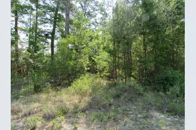 Tbd Pinehurst Avenue, Chipley, FL 32428 - Photo 3