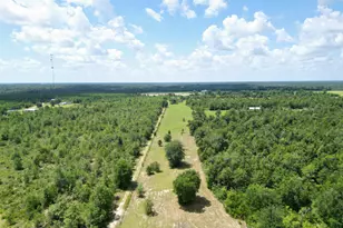 13137 Sr 73, Clarksville, FL 32430 - Photo 49