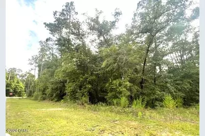0 View Drive, Alford, FL 32420 - Photo 3