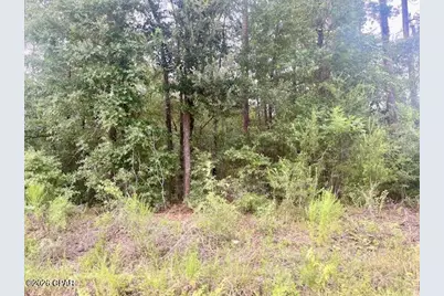 0 View Drive, Alford, FL 32420 - Photo 5