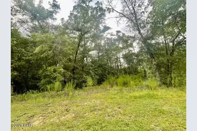 0 View Drive, Alford, FL 32420 - Photo 1