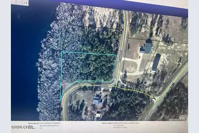 0 View Drive, Alford, FL 32420 - Photo 9