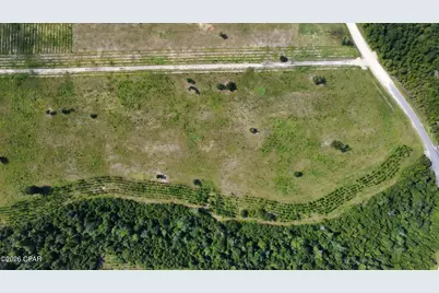 0 Bailey Cemetery Road, Altha, FL 32421 - Photo 13