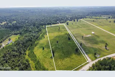 0 Bailey Cemetery Road, Altha, FL 32421 - Photo 1