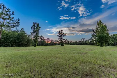 Tbd Highway 90, Grand Ridge, FL 32442 - Photo 11