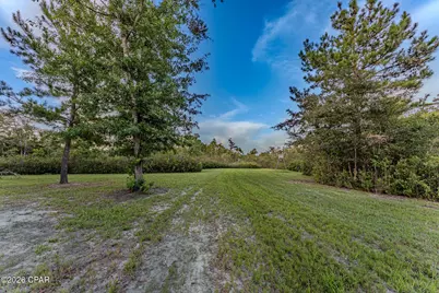 Tbd Highway 90, Grand Ridge, FL 32442 - Photo 25