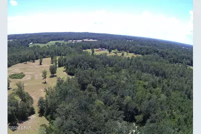 Tbd Highway 90, Grand Ridge, FL 32442 - Photo 39