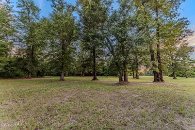 Tbd Highway 90, Grand Ridge, FL 32442 - Photo 3