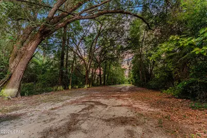 Tbd Highway 90, Grand Ridge, FL 32442 - Photo 1
