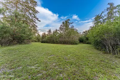 Tbd Highway 90, Grand Ridge, FL 32442 - Photo 23