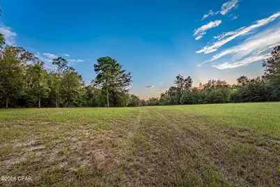 Tbd Highway 90, Grand Ridge, FL 32442 - Photo 19