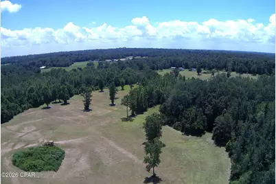 Tbd Highway 90, Grand Ridge, FL 32442 - Photo 33