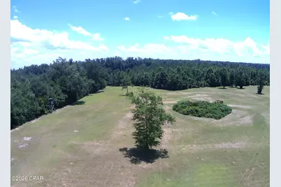 Tbd Highway 90, Grand Ridge, FL 32442 - Photo 35