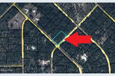 Lot 16 Osceola Drive, Marianna, FL 32448 - Photo 5