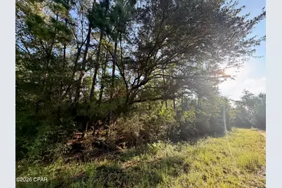 Lot 26 Grove Lane, Marianna, FL 32448 - Photo 3