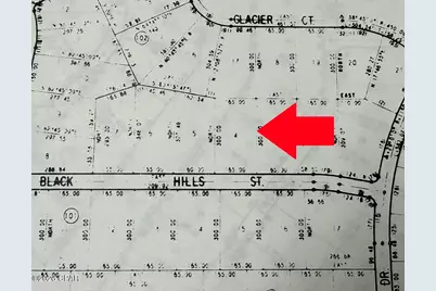 Lot 4 Black Hills Street, Alford, FL 32420 - Photo 3