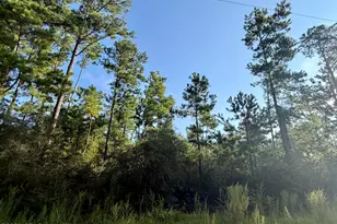 Lot 4 Black Hills St, Alford, FL 32420 - Photo 1