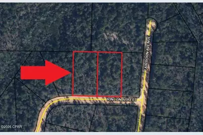 Lots 2 & 3 Rincon Street, Alford, FL 32420 - Photo 5
