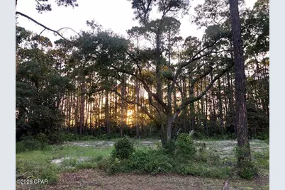 14 Waters Edge Drive, Port Saint Joe, FL 32456 - Photo 5