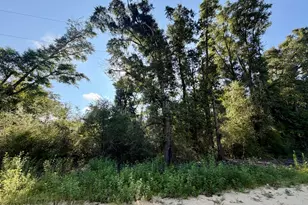 Lots 20-22 Sorrento Ave, Alford, FL 32420 - Photo 1