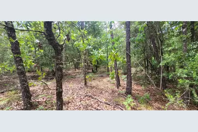 0 Quail Hollow Boulevard, Chipley, FL 32428 - Photo 11